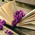 Open Banking Revolution