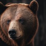 Generative AI in Finance: 2026 Update