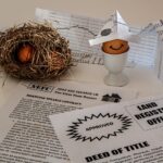 Debunking Interest Rate Myths