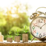 SME Loans 2026: Trends and Insights
